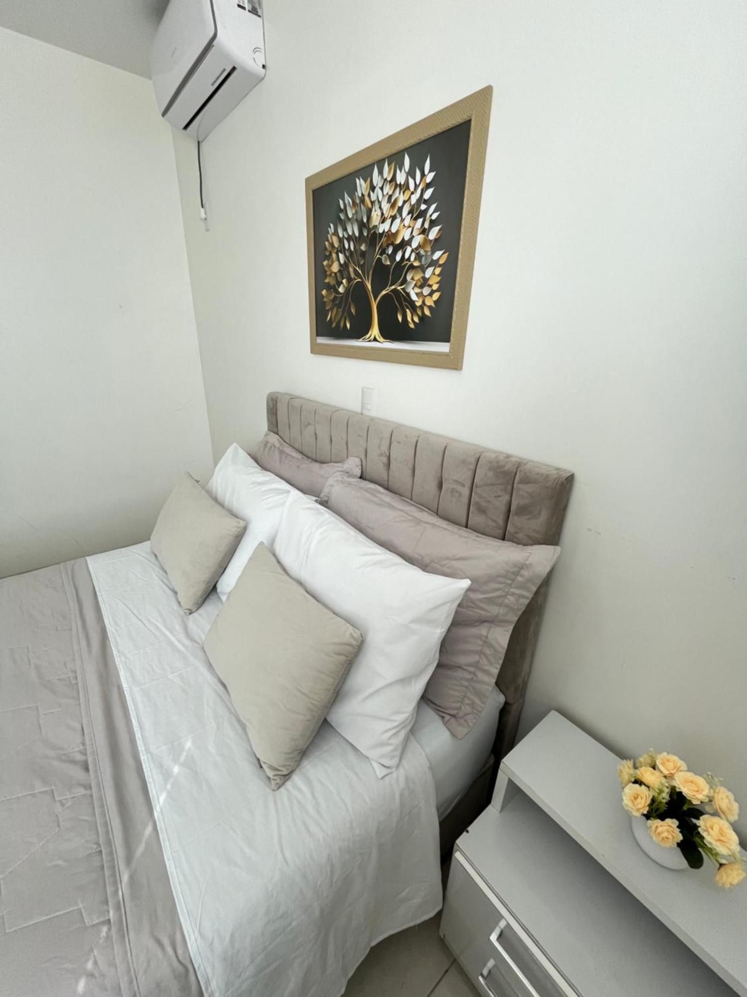 Ape Aconchego Apartment Бруски Екстериор снимка